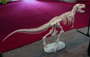 نمایشگاه ساخت ایران 97